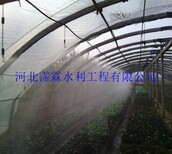 河北大棚微喷头青菜喷灌头图片0