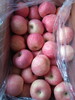 山東沂源縣七十萬畝有機紅富士蘋果最新價格