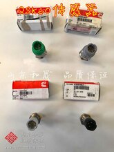 QSK60燃油泵执行器3330600(康明斯3865309)图片