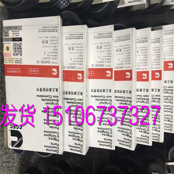 QSNT散热器芯3412285/3045483（康明斯供应