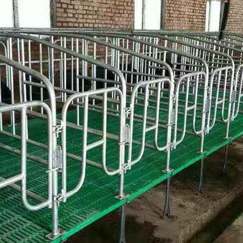 厂家供应母猪限位栏复合板限位栏母猪高床饲养栏养猪设备厂家