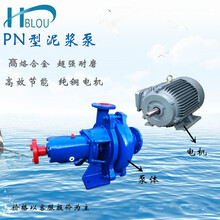 利欧PN泥浆泵离心液下泵淤泥泵排污泵杂质泵