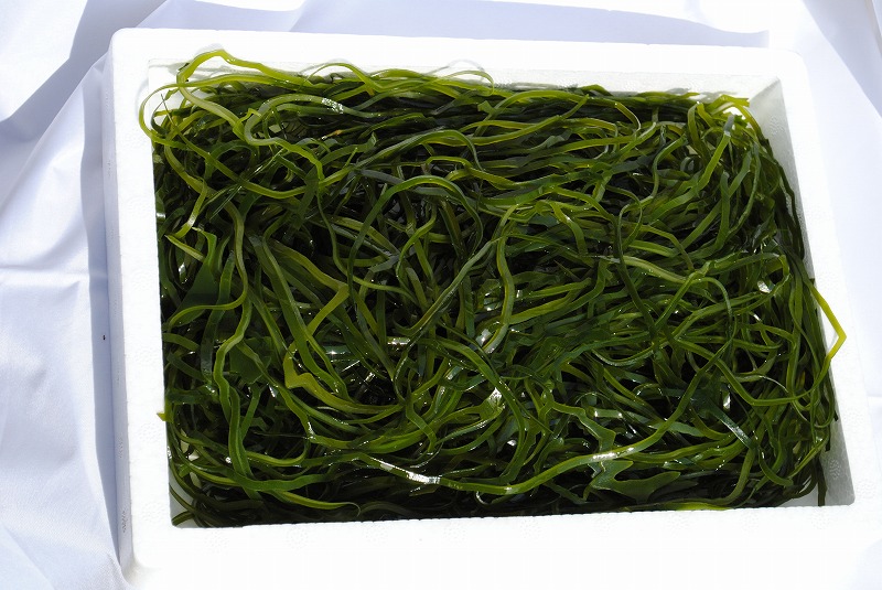 纯天然植物提取