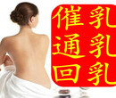 香洲催乳师，上冲通奶师，前山催乳师，金鼎通奶师，唐家催乳