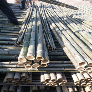 大量批发香菇架竹竿4米5米6米粗竹杆