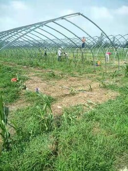 通化大棚骨架一平多少钱,通化大棚防雨保温被厂家