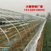 天长暖棚大棚管生产厂家图片