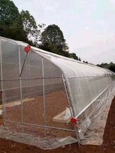 临沂热镀扁管保温暖棚厂家安装3070椭圆管图片
