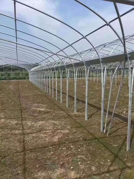 冀州大棚鋼管廠家溫室大棚骨架建造