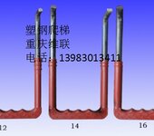 重庆复合爬梯,塑钢爬梯,球墨铸铁爬梯厂家