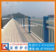 江陰橋梁河道護欄江陰橋梁不銹鋼碳鋼護欄堅固耐用龍橋專業生產