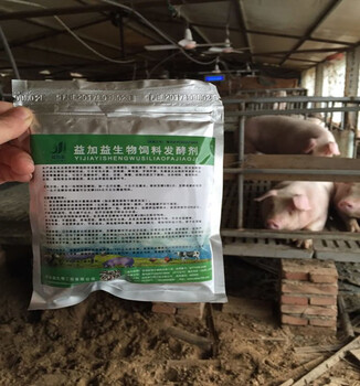 江西豆腐渣发酵喂猪怎么发酵饲料储存猪吃