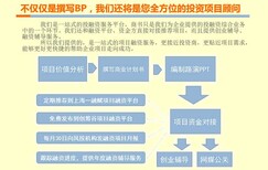 西藏代写融资计划书估计的市场份额和销售额图片5