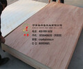 杨木包装板5--21mm包装板胶合板多层板打包装箱板托盘木板材