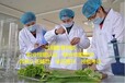 潮汕地区报考食品检验员资格证去哪里考试学习