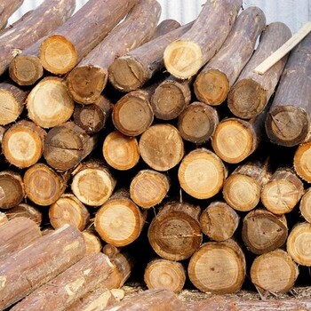 南沙原木/板材进口代理公司木材进口熏蒸时间