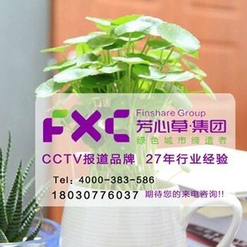 成都金牛区鲜花盆栽租赁公司