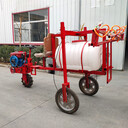 秦皇島打藥機多少錢(qián)