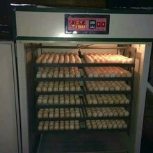 孵化机选择鑫协孵化设备选择成功一键孵化模式图片