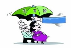 广州办理生育保险公司图片0