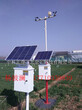 ZK-YBL8A气象站,校园气象站,自动气象站图片
