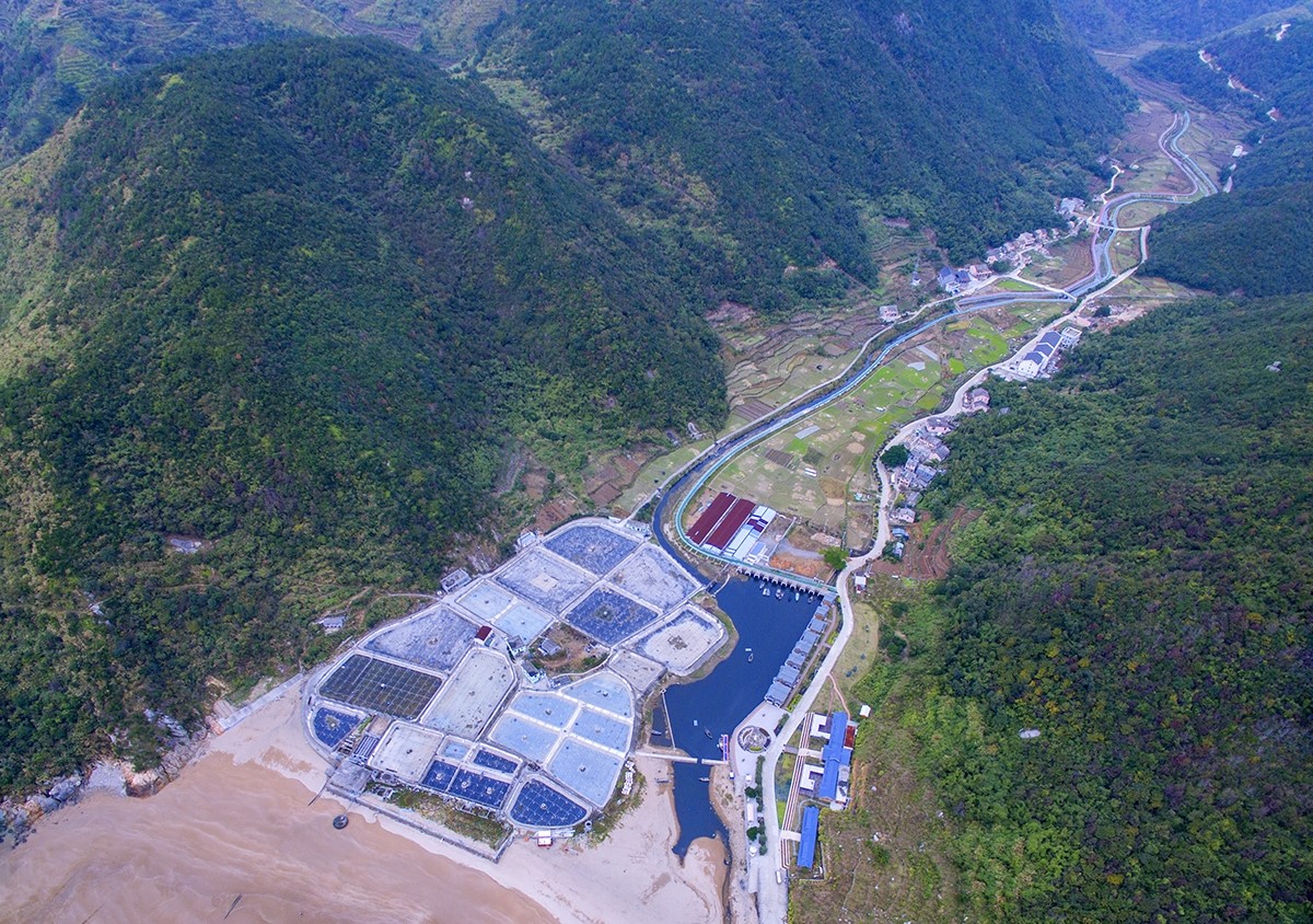 德阳代写香椿种植可行性报告联系