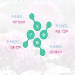 蒸湘区代写可行性分析报告的公司（动物园）图片4