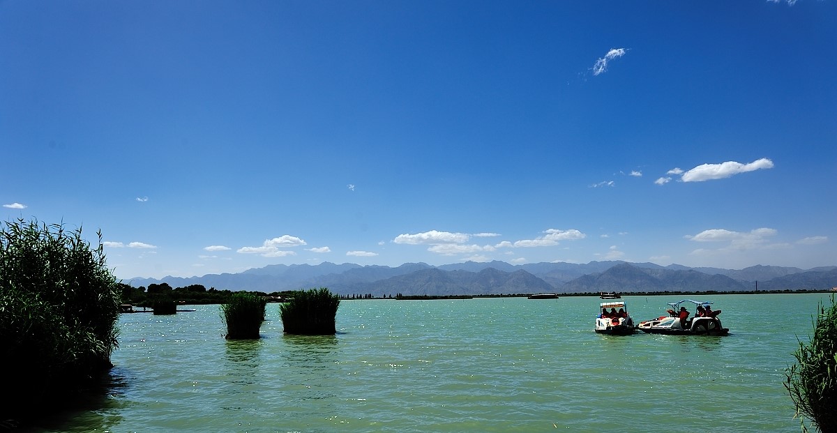 海口本地写标书需要提供什么资料