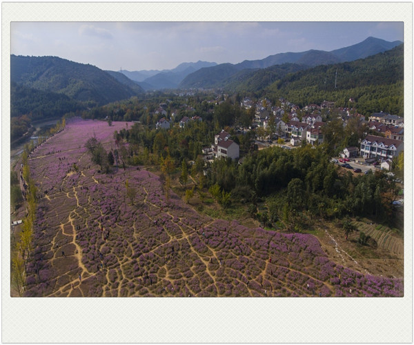 龙亭可研报告范本-龙亭能写的公司