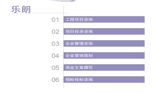 汤旺河区可行性报告_可研案例/写的公司