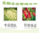 武汉标书制作流程图片