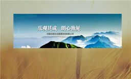 阳谷县投资项目商业计划书图片3