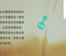 河间商业计划书样本