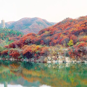 乌拉特中旗能编写可行性研究范文-批地有