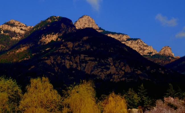 富川瑶族自治县可以编写加工小麦面粉1万吨项目可行性报告