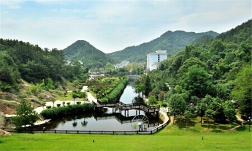 富川瑶族自治县可以编写加工小麦面粉1万吨项目可行性报告