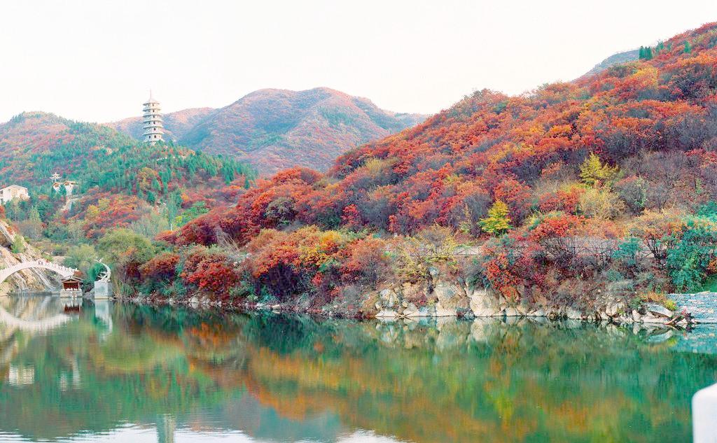 濮阳写可行性研究报告濮阳代写报告便宜 可行