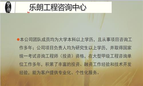 忻州写可行性报告模板-能做项目建议书