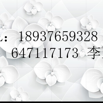 遵化房地产项目可行性报告-代写商业计划书