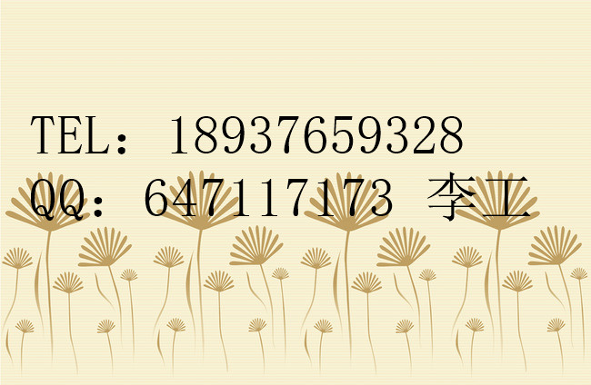 银洞沟银矿地下开采项目可行性报告编制公司/有案例