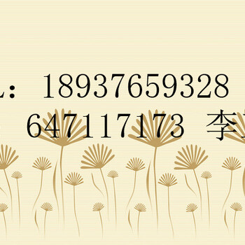 明水可行性报告应该找谁代写