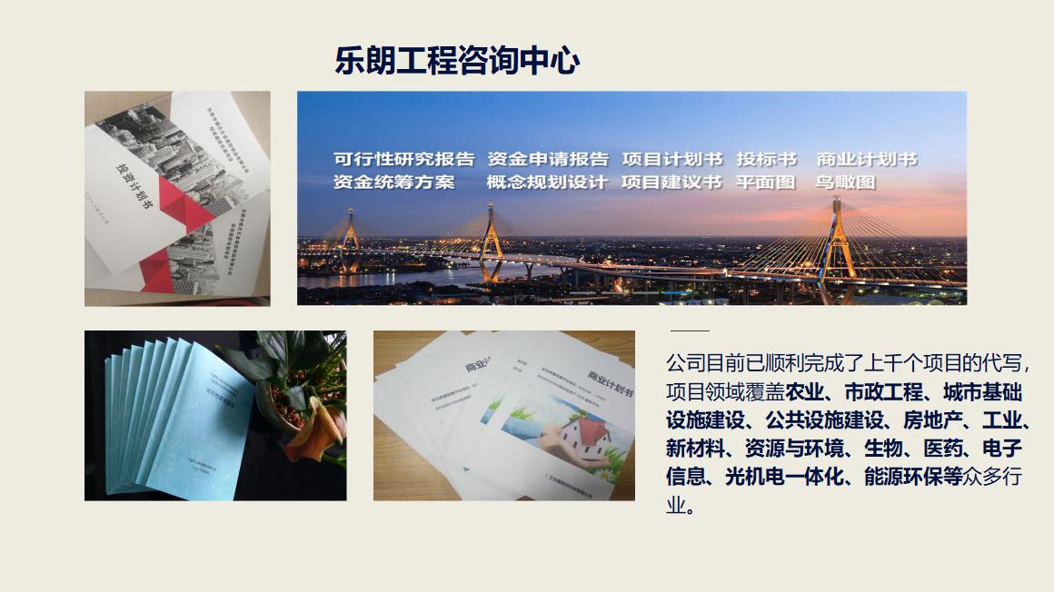 竹溪县编写纸质印刷品生产项目策划书模板