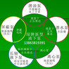 能在液面下使用的离心泵-绿牌新型液下泵