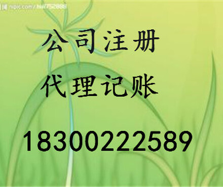 【小微企业的首选专业工商注册代理记账】_黄