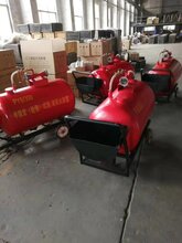 小型PY4/200半固定(轻便式)泡沫灭火装置图片