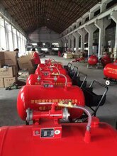 大型PY8-700半固定轻便式泡沫灭火装置大容积迅速灭火图片