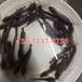 廣西梧州埃及胡子鯰魚苗養殖基地革胡子鯰魚苗批發價格埃及塘虱魚苗