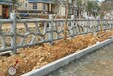 广东池塘混凝土仿藤条护栏图片，清远水泥栏杆仿树藤造型施工方法