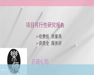 泰安代做可行性报告的费用/多少钱图片2