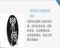 柳林县找做可行性报告的公司《颗粒》图片0